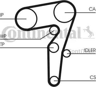 Continental CT1155K1 - Komplet zupčastog remena www.molydon.hr