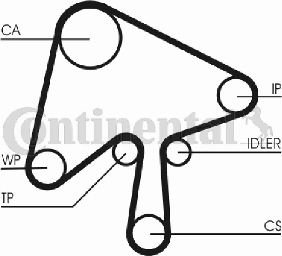 Contitech CT 1124 - Zupčasti remen  www.molydon.hr