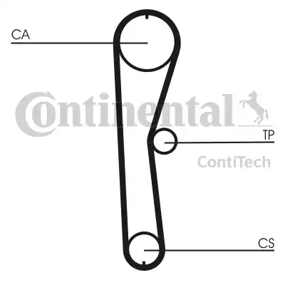 Continental CT824 - Zupčasti remen  www.molydon.hr