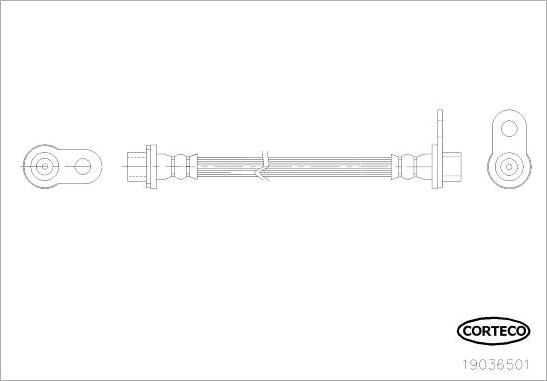 Corteco 19036501 - Kočiono crijevo, lajtung www.molydon.hr