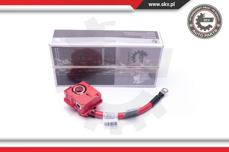 Esen SKV 96SKV309 - Adapter akumulatora www.molydon.hr