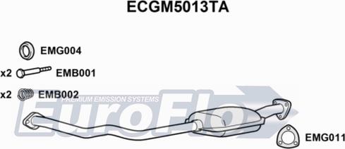 EuroFlo ECGM5013TA - Katalizator www.molydon.hr