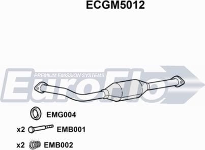 EuroFlo ECGM5012 - Katalizator www.molydon.hr