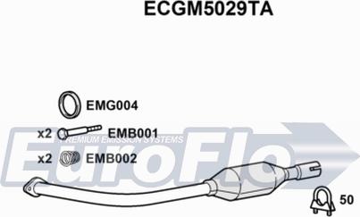 EuroFlo ECGM5029TA - Katalizator www.molydon.hr