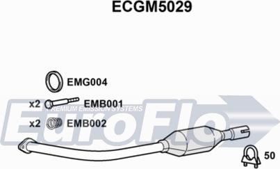 EuroFlo ECGM5029 - Katalizator www.molydon.hr