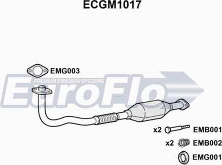 EuroFlo ECGM1017 - Katalizator www.molydon.hr