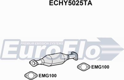 EuroFlo ECHY5025TA - Katalizator www.molydon.hr