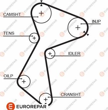 EUROREPAR 1633140080 - Zupčasti remen  www.molydon.hr