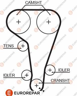 EUROREPAR 1633140280 - Zupčasti remen  www.molydon.hr