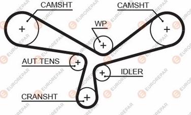 EUROREPAR 1633141680 - Zupčasti remen  www.molydon.hr