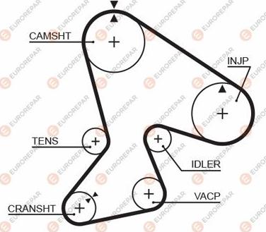 EUROREPAR 1633141080 - Zupčasti remen  www.molydon.hr