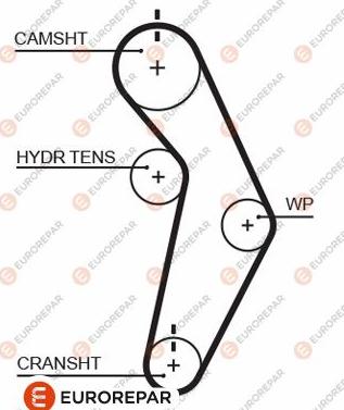 EUROREPAR 1633141280 - Zupčasti remen  www.molydon.hr