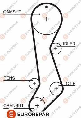 EUROREPAR 1633142580 - Zupčasti remen  www.molydon.hr