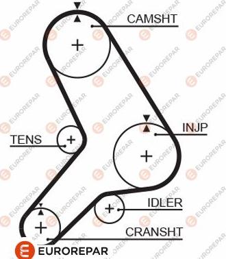 EUROREPAR 1633139080 - Zupčasti remen  www.molydon.hr