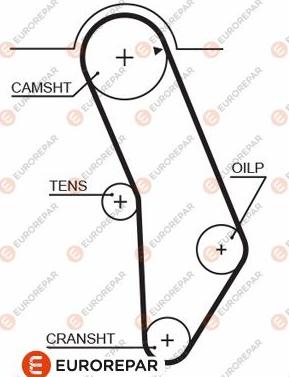 EUROREPAR 1633139880 - Zupčasti remen  www.molydon.hr