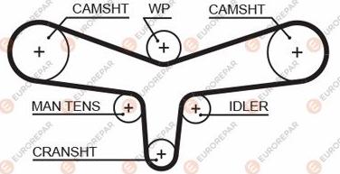 EUROREPAR 1633134580 - Zupčasti remen  www.molydon.hr