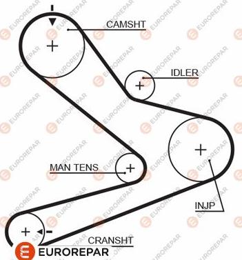EUROREPAR 1633134880 - Zupčasti remen  www.molydon.hr