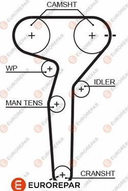 EUROREPAR 1633134380 - Zupčasti remen  www.molydon.hr