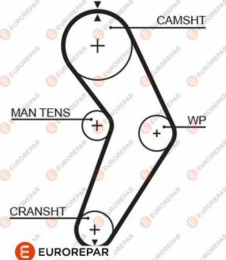 EUROREPAR 1633135780 - Zupčasti remen  www.molydon.hr