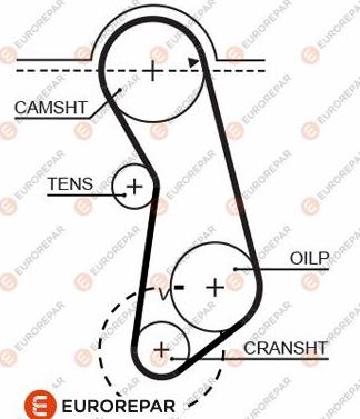 EUROREPAR 1633136980 - Zupčasti remen  www.molydon.hr