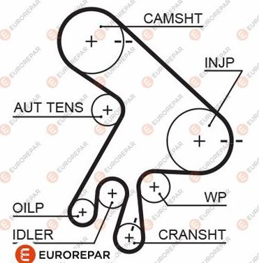 EUROREPAR 1633130280 - Zupčasti remen  www.molydon.hr