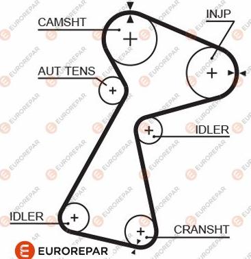 EUROREPAR 1633131880 - Zupčasti remen  www.molydon.hr