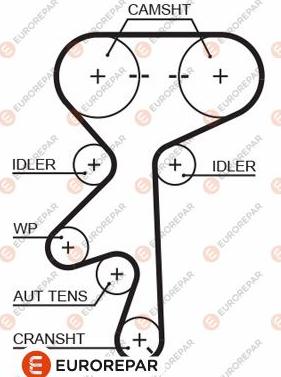 EUROREPAR 1633138980 - Zupčasti remen  www.molydon.hr