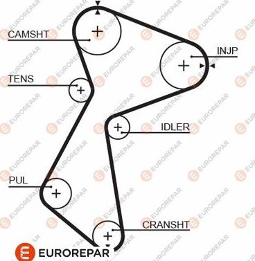 EUROREPAR 1633138580 - Zupčasti remen  www.molydon.hr