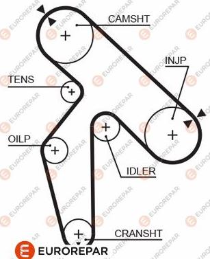 EUROREPAR 1633138680 - Zupčasti remen  www.molydon.hr