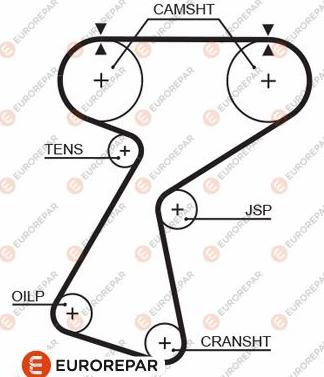 EUROREPAR 1633138180 - Zupčasti remen  www.molydon.hr