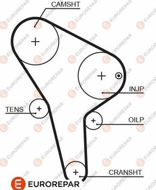 EUROREPAR 1633137580 - Zupčasti remen  www.molydon.hr