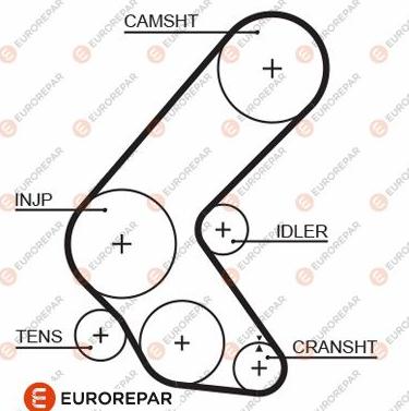 EUROREPAR 1633137680 - Zupčasti remen  www.molydon.hr