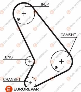 EUROREPAR 1633137380 - Zupčasti remen  www.molydon.hr