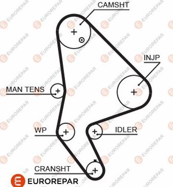 EUROREPAR 1633126480 - Zupčasti remen  www.molydon.hr