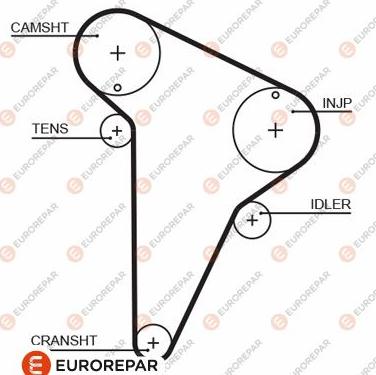 EUROREPAR 1633128580 - Zupčasti remen  www.molydon.hr