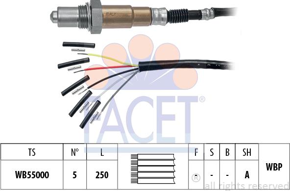 FACET 10.8560 - Lambda-sonda www.molydon.hr