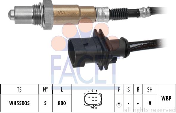 FACET 10.8568 - Lambda-sonda www.molydon.hr