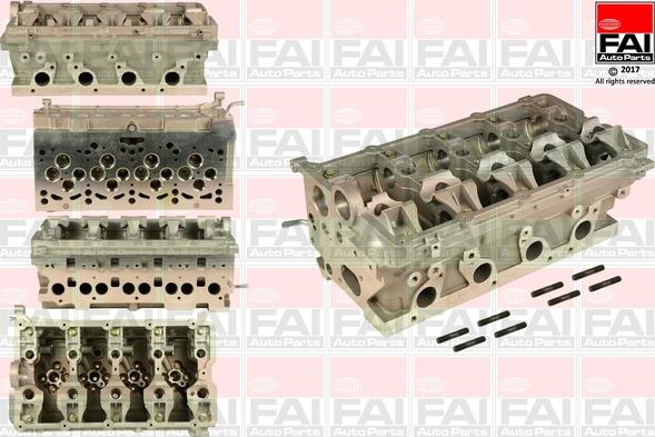 FAI AutoParts BCH025 - Glava cilindra www.molydon.hr