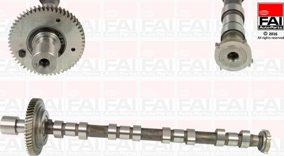 FAI AutoParts C310 - Bregasta osovina www.molydon.hr