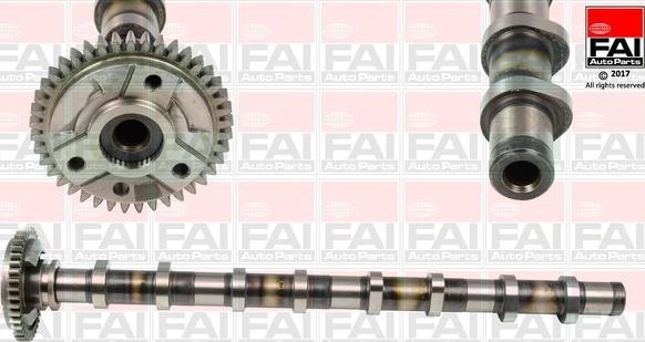 FAI AutoParts C381 - Bregasta osovina www.molydon.hr