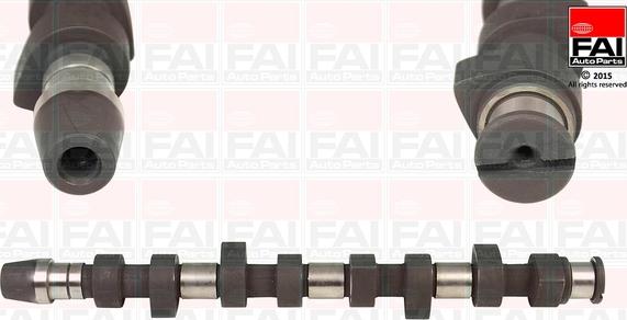 FAI AutoParts C241 - Bregasta osovina www.molydon.hr