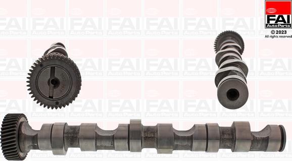 FAI AutoParts C247 - Bregasta osovina www.molydon.hr