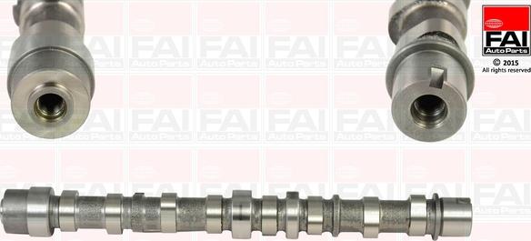 FAI AutoParts C255 - Bregasta osovina www.molydon.hr