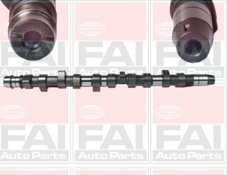 FAI AutoParts C231 - Bregasta osovina www.molydon.hr