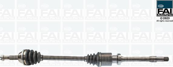 FAI AutoParts FPDS165 - Pogonska osovina www.molydon.hr