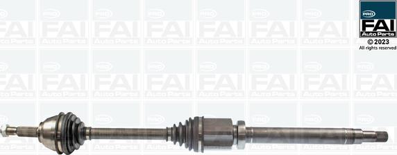 FAI AutoParts FPDS119 - Pogonska osovina www.molydon.hr