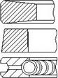 FAI AutoParts PR101-000 - Komplet klipnih prstenova www.molydon.hr