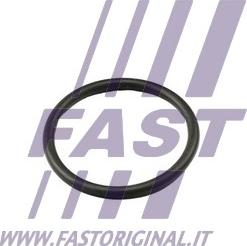 Fast FT49917 - Brtva, termostat www.molydon.hr