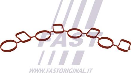 Fast FT49459 - Brtva, usisna grana www.molydon.hr