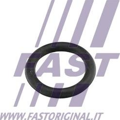 Fast FT49419 - Brtva, usisna grana www.molydon.hr